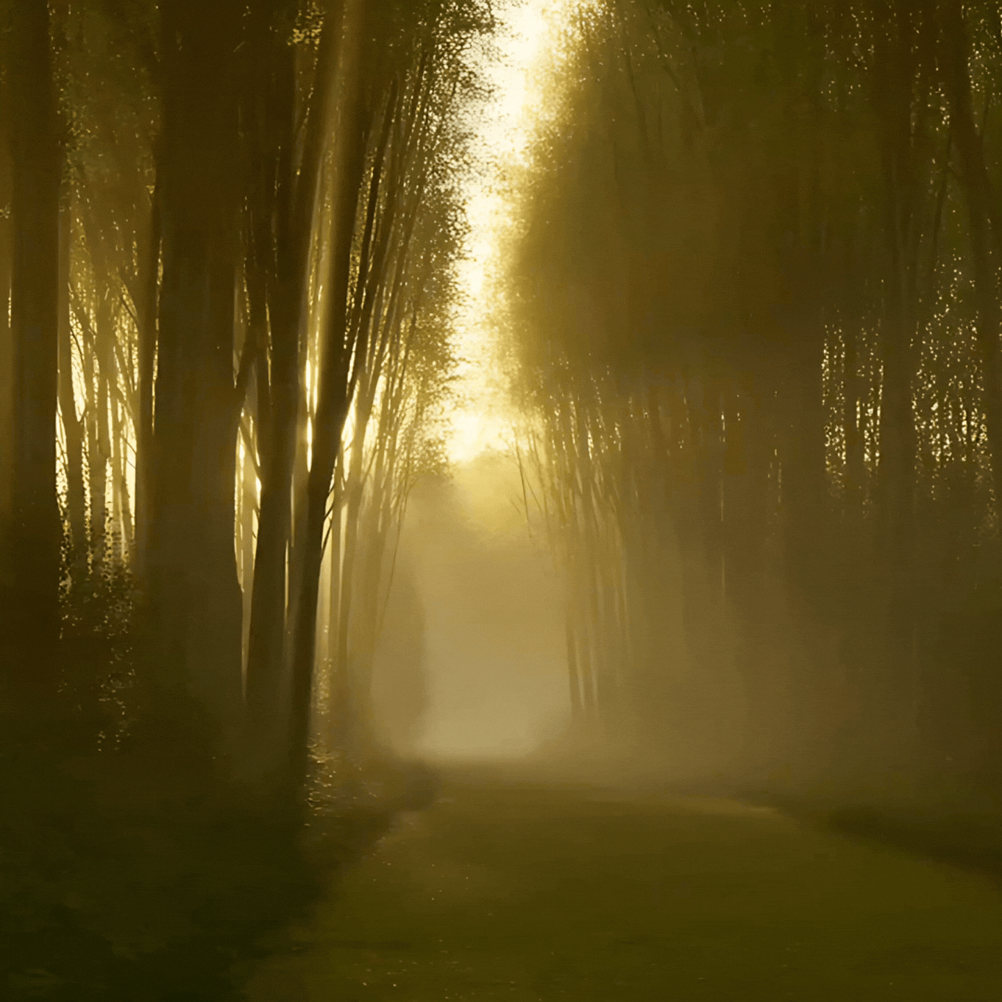 Chemins de vie & décisions essentielles